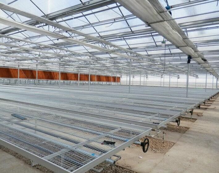 <a href='/' target='_blank'>育苗網(wǎng)廠家</a> <a href='/' target='_blank'>育苗網(wǎng)廠家</a>