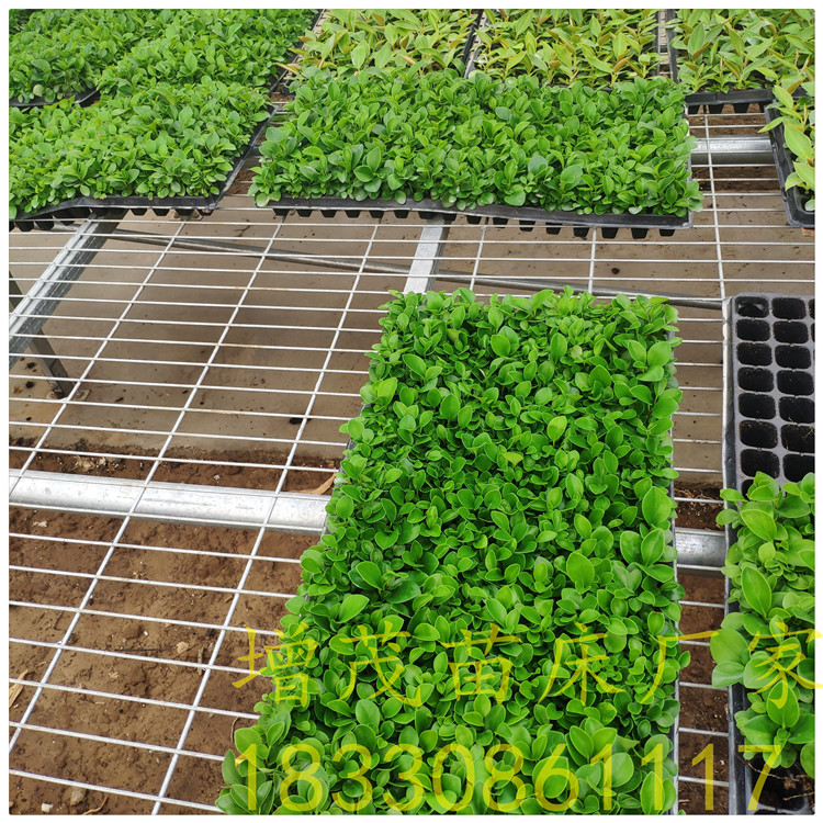 1559028846799678.jpg IMG_20190508_172606.jpg