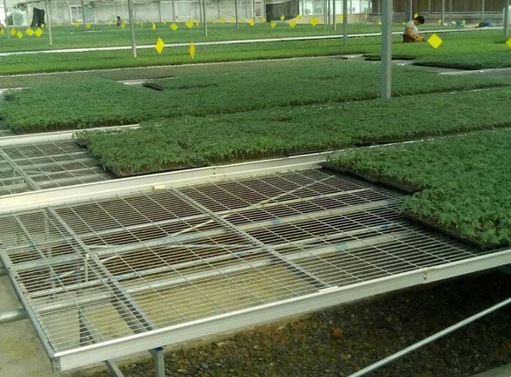 1564975161522814.jpg <a href='http://m.services-voyage.com/miaochuangsheshi/199.html'target='_blank'><a href='http://m.services-voyage.com/miaochuangsheshi/199.html'target='_blank'><a href='http://m.services-voyage.com/miaochuangsheshi/199.html'target='_blank'>育苗床</a></a></a>.jpg